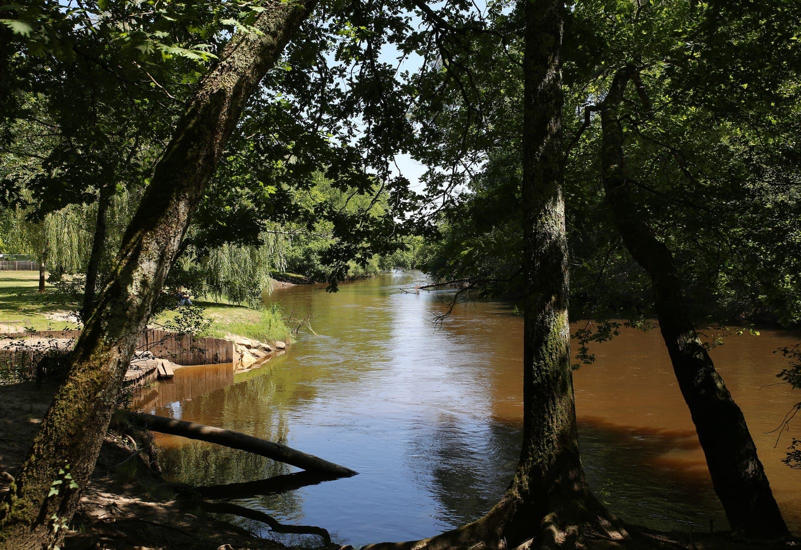 Canoë sur le delta du Fango