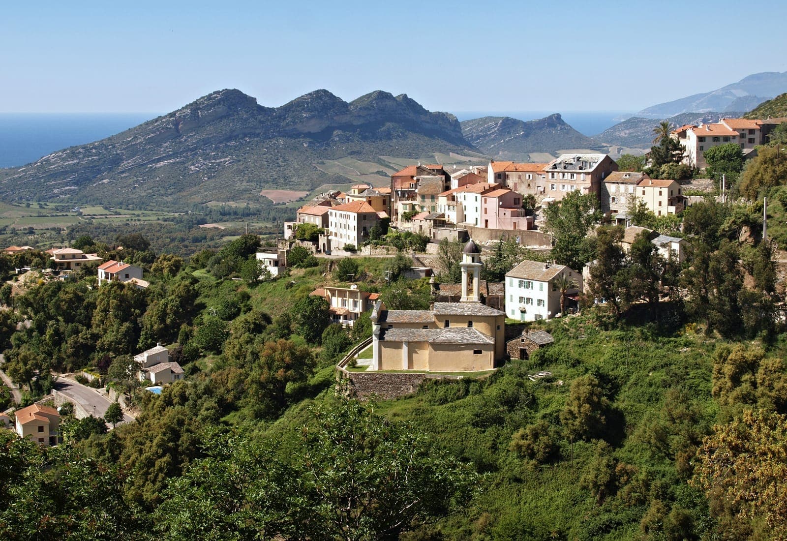 Domaine Yves Leccia (Poggio d'Oletta)
