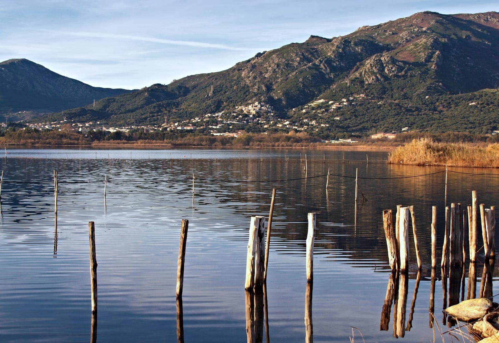 Réserve naturelle de Biguglia