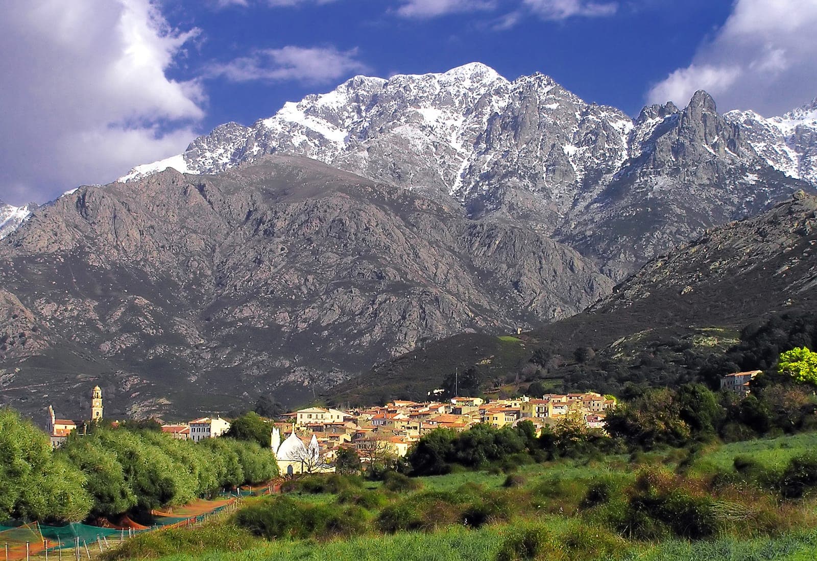 Fiera di Santa Restituta (Calenzana)