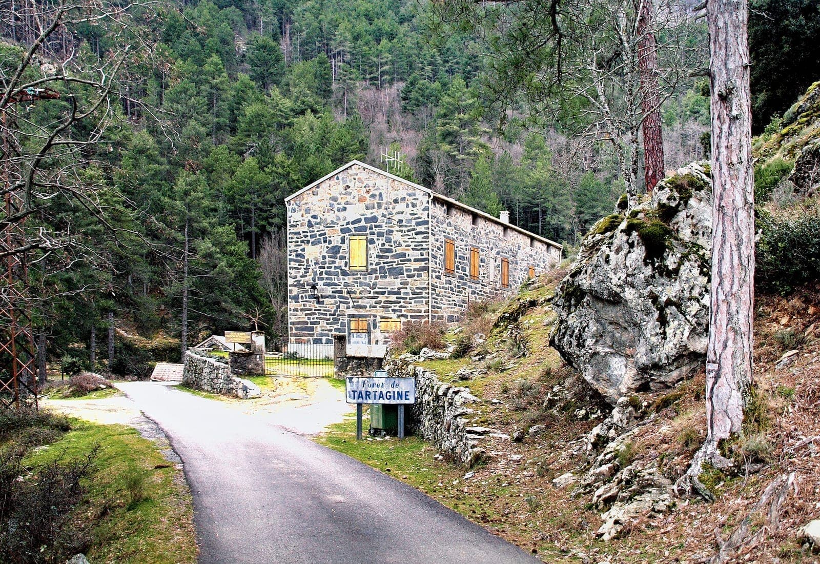 Forêt de Tartagine — sentier découverte